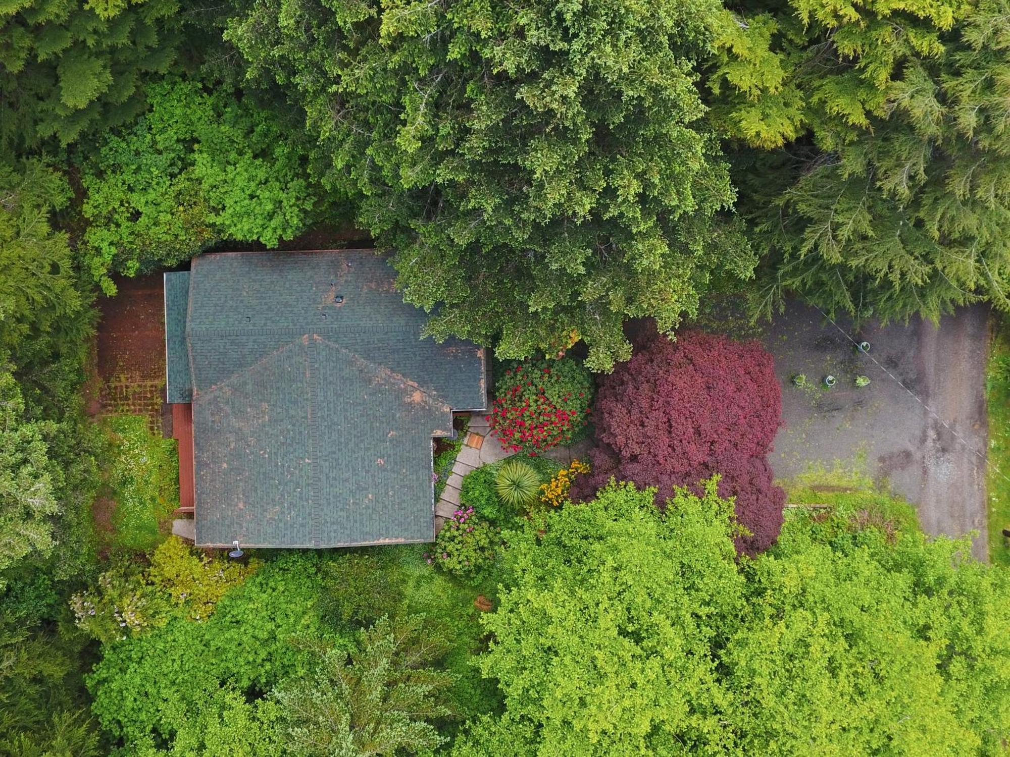 Woods Waves: Luxury Coast Cabin King Beds Pets Tillamook Exterior foto